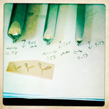 Maple Whirly. Whirlybird. Helicopter. Sycamore Spinner. Raised design. Metal Hand Stamp