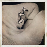 Birds! Tiny Flyers. Engraved Metal Hand Stamp Handmade.