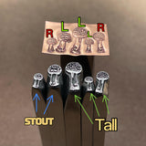 Red Cap Mushrooms. Fly Agaric. Cuties. 😀